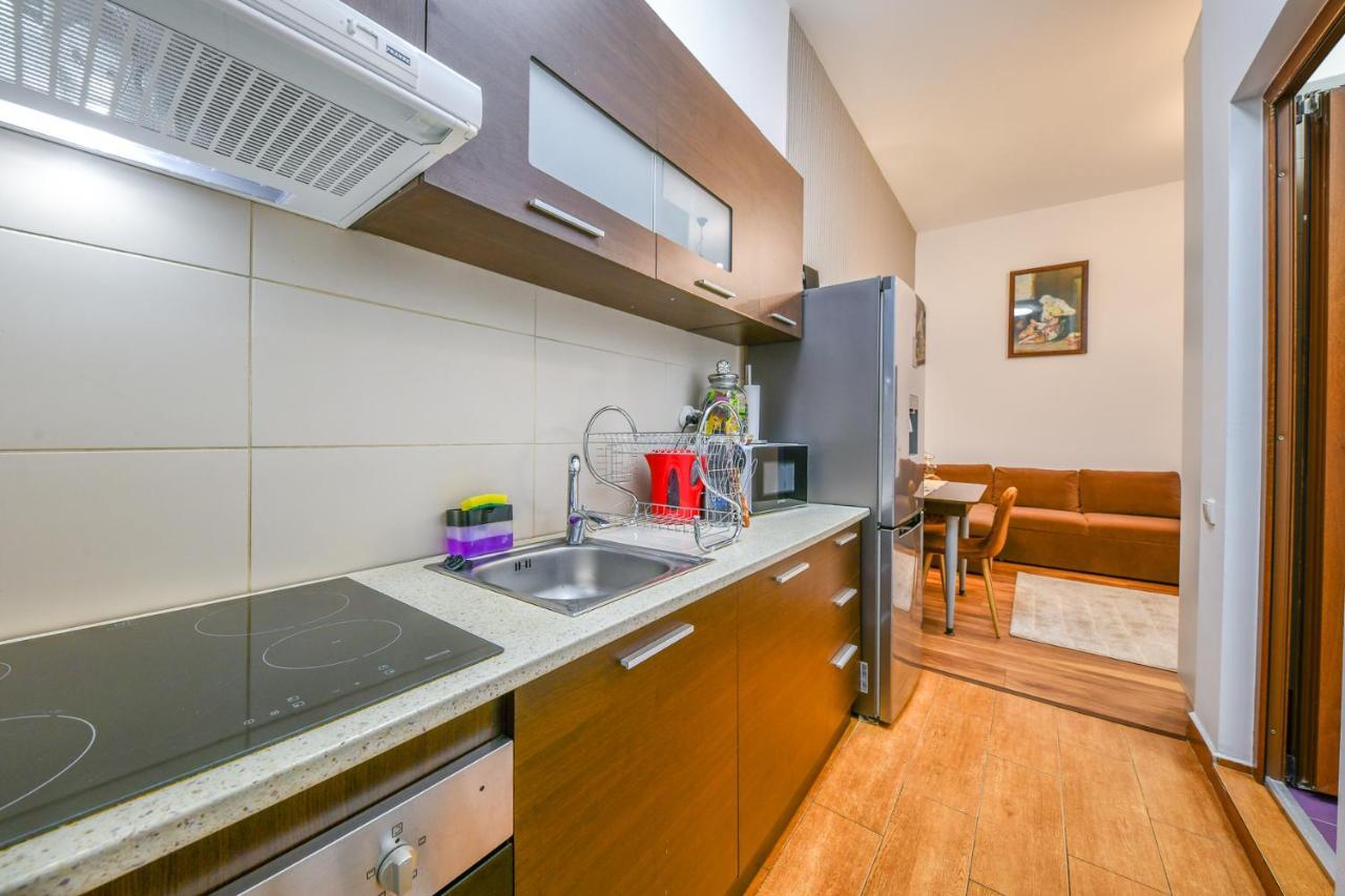 Glam Apartment Cluj-Napoca Eksteriør billede